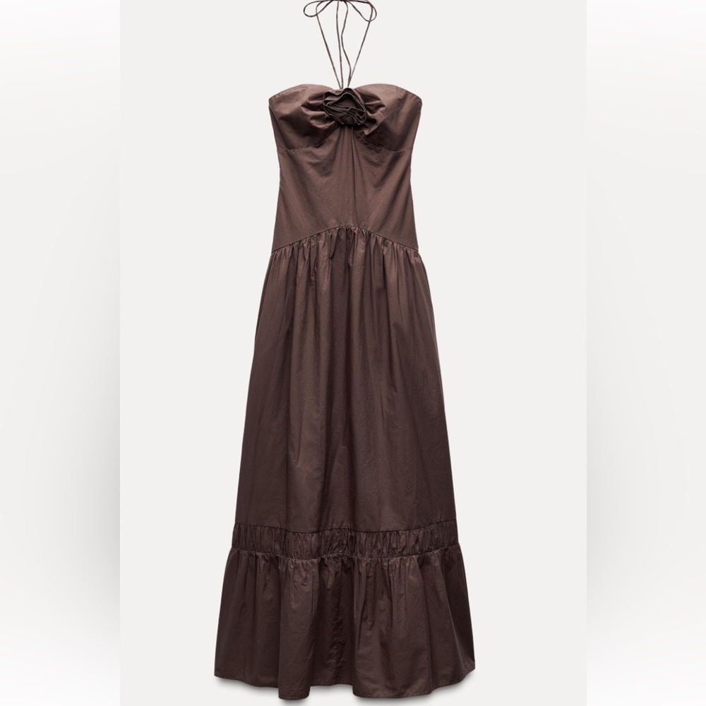 Zara Strapless Brown Maxi Dress
